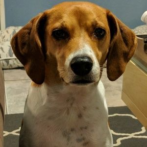 Meet your Posher, Beverly